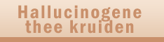 Hallucinerende kruidenthee