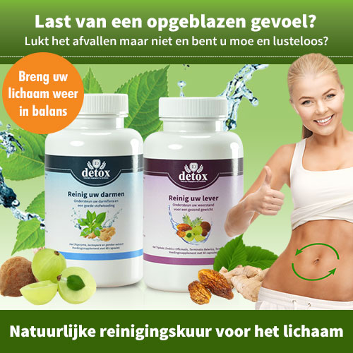 detox en ontgiften