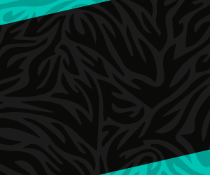 Echte mannen kunnen niet zonder!